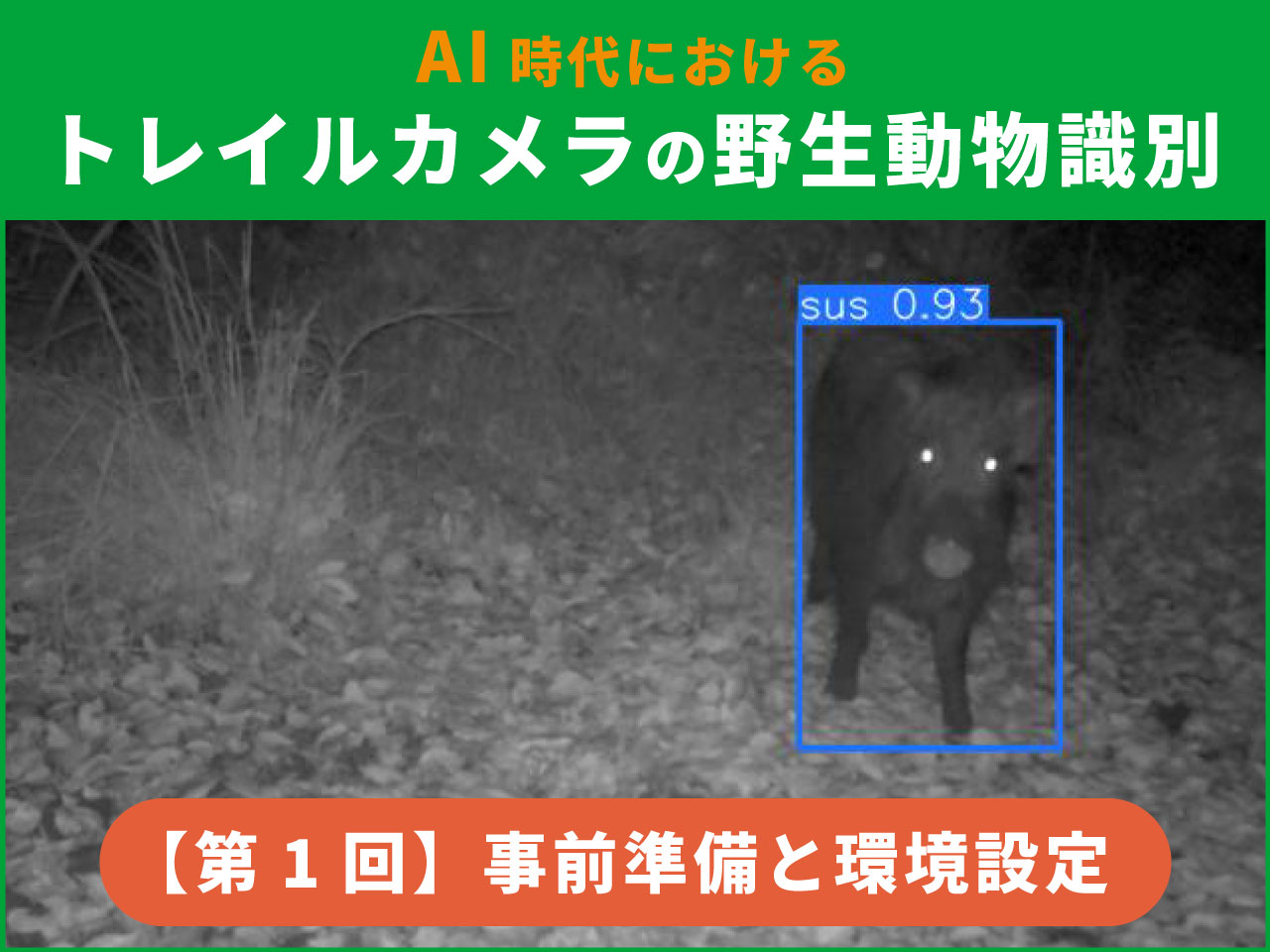 AIによるトレイルカメラの野生動物識別【第1回】事前準備と環境設定