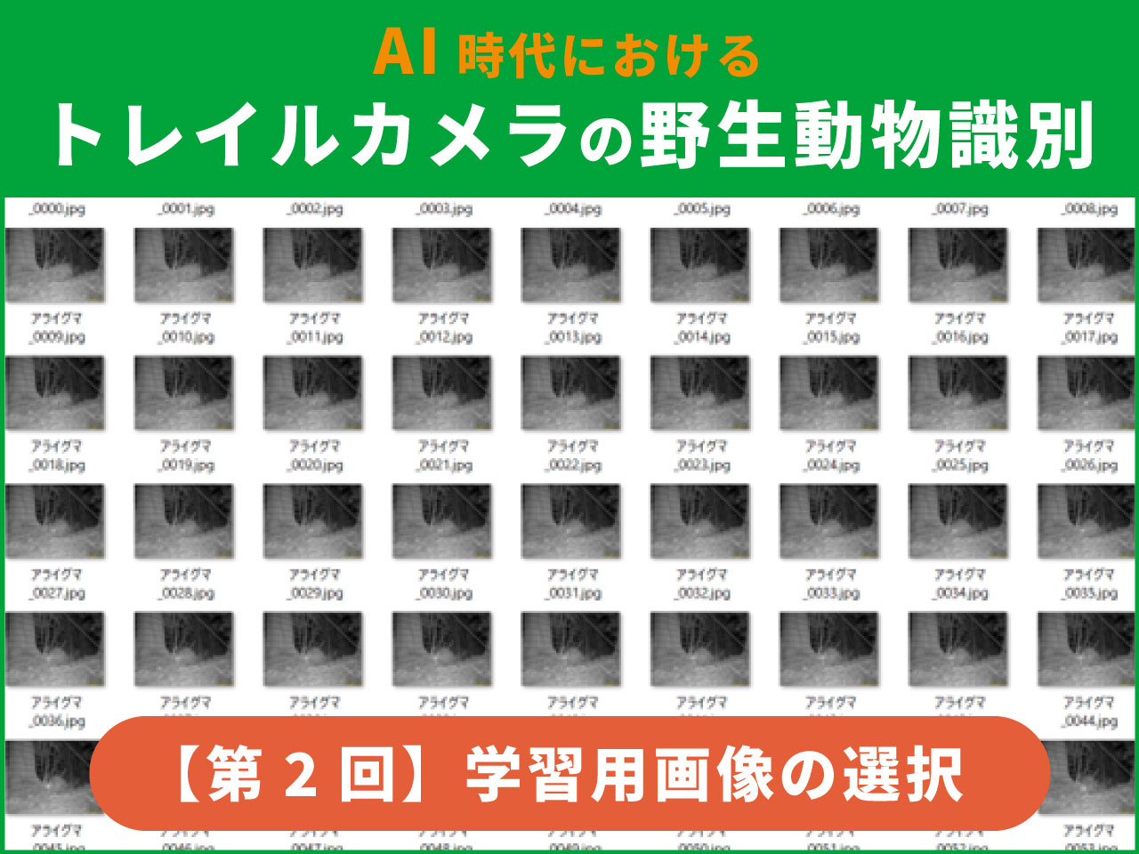 AIによるトレイルカメラの野生動物識別【第2回】AviUtlを用いた学習用画像の選択