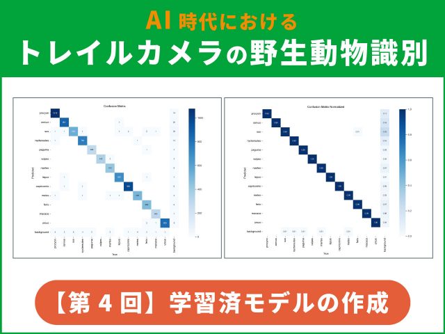 AIによるトレイルカメラの野生動物識別【第4回】YOLOv8の「学習済モデル」の作成