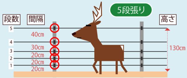 支柱と電線が交差する「複雑な構造部」は獣が最も注目しやすいため、外向きに設置するのが効果的