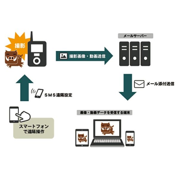画像:4G通信トレイルカメラによる通信イメージ