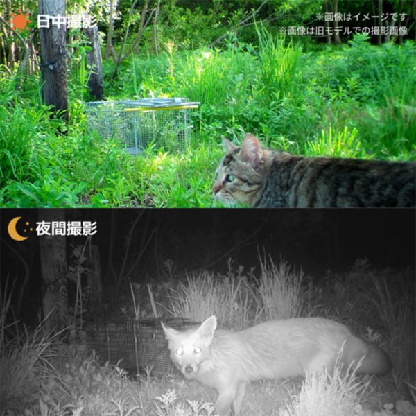 WAMキャプチャー（旧モデル）による撮影イメージ