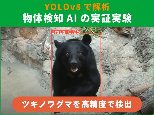 ツキノワグマ対策｜物体検知AIでできることと社会課題解決へのアプローチ