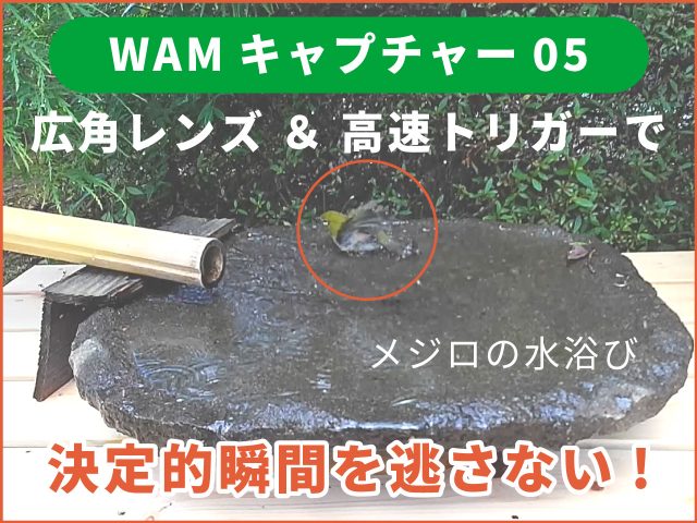 【広角トレイルカメラ おすすめ】100°レンズ＆高速トリガーで決定的瞬間を逃さない！WAMキャプチャー05