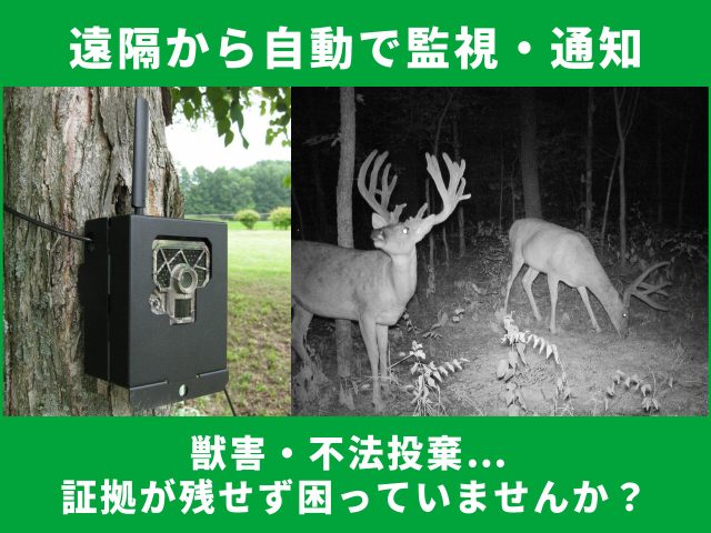 動物監視に最適なカメラ｜屋外で使える通信型トレイルカメラTREL 4G-Rと4G-Hを比較解説