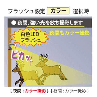 画像：夜間カラー撮影イメージ