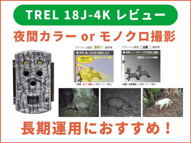 トレイルカメラ4Kモデル「TREL 18J-4K」レビュー｜256GB対応で長期の野生動物調査におすすめ