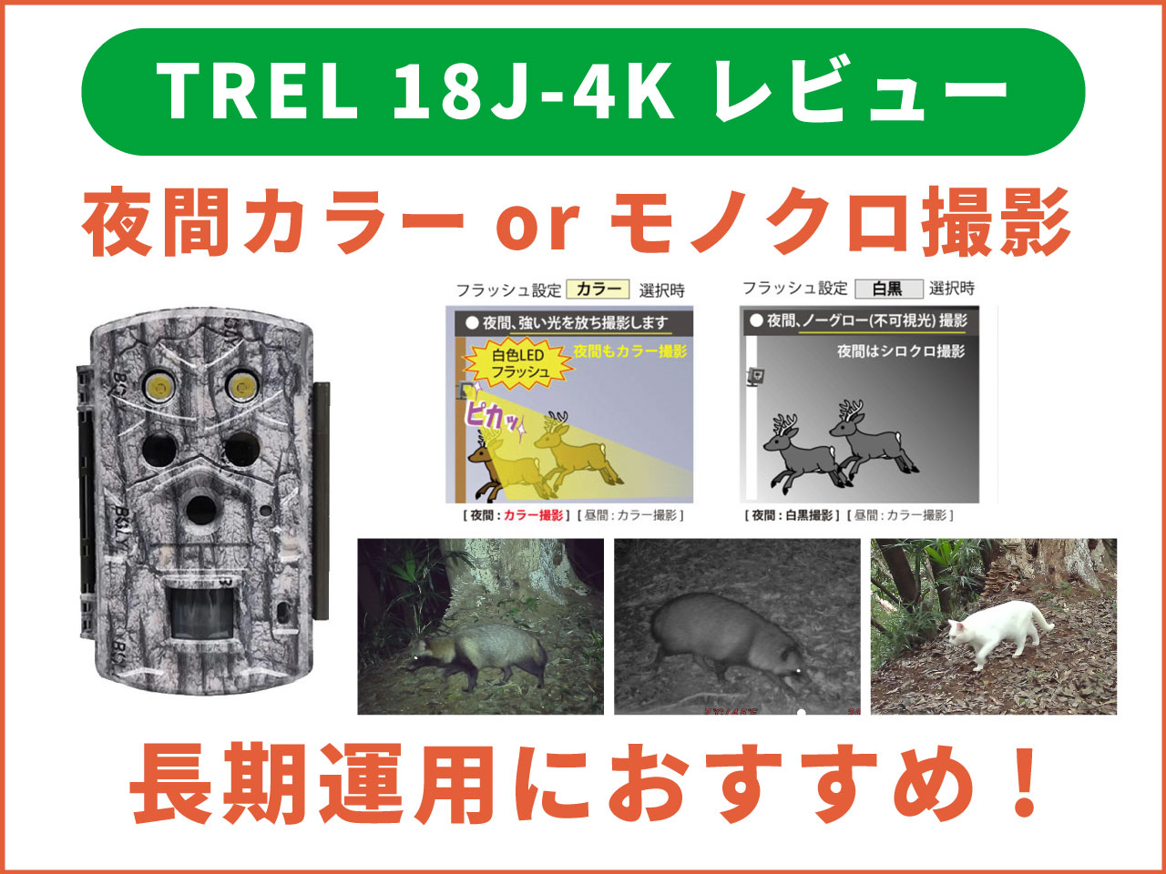 トレイルカメラ4Kモデル「TREL18J-4K」レビュー
