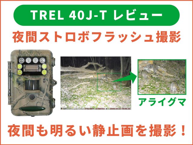 夜間カラー撮影カメラ「TREL 40J-T」レビュー｜カラー＆ノーグローで昼夜を問わず自動撮影！