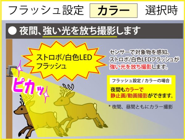 画像：夜間カラー撮影イメージ