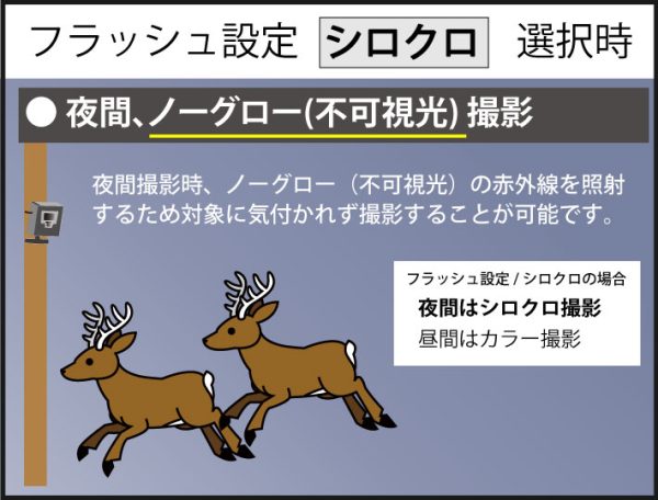 画像：夜間モノクロ撮影イメージ