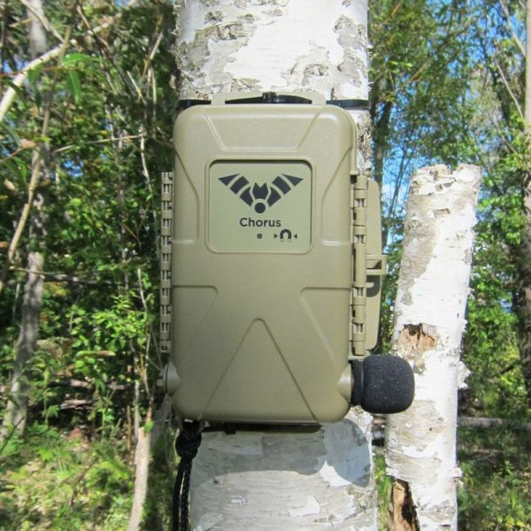 音響・超音波レコーダーChorus（コーラス）（アコースティックマイク1つ付）