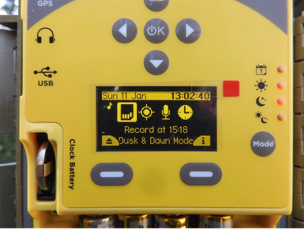 写真：Chorusの録音設定画面