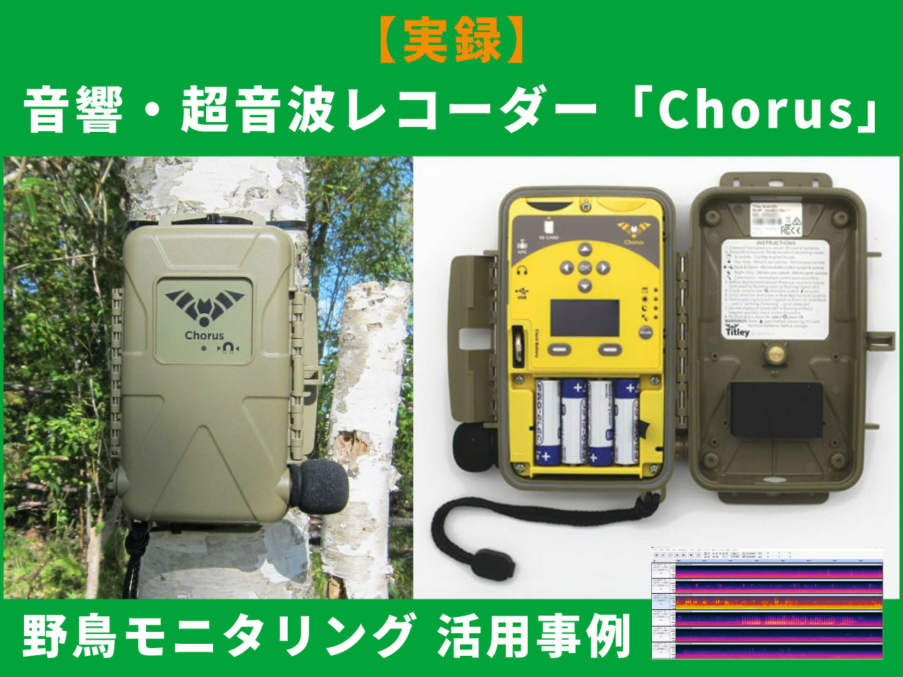 音響・超音波レコーダー「Chorus」で野鳥モニタリング