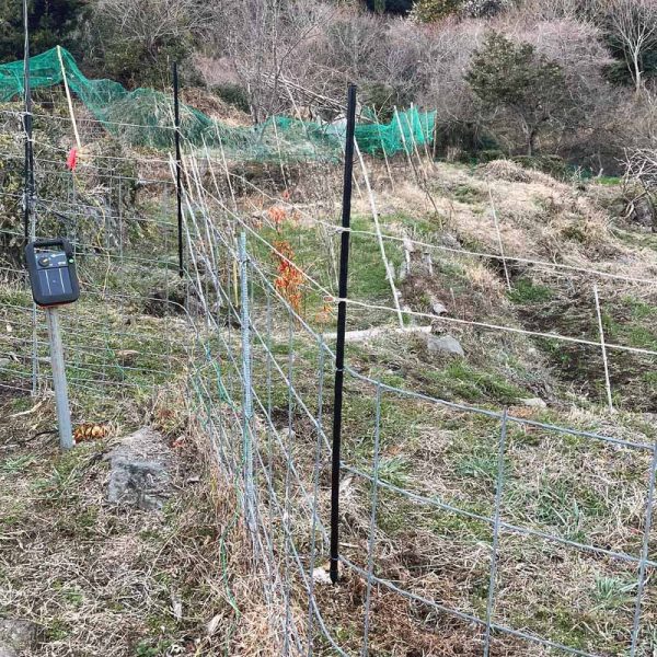 ガラガーミニソーラーS16x 電気柵本体（ソーラー・バッテリー・アース付き）設置イメージ②