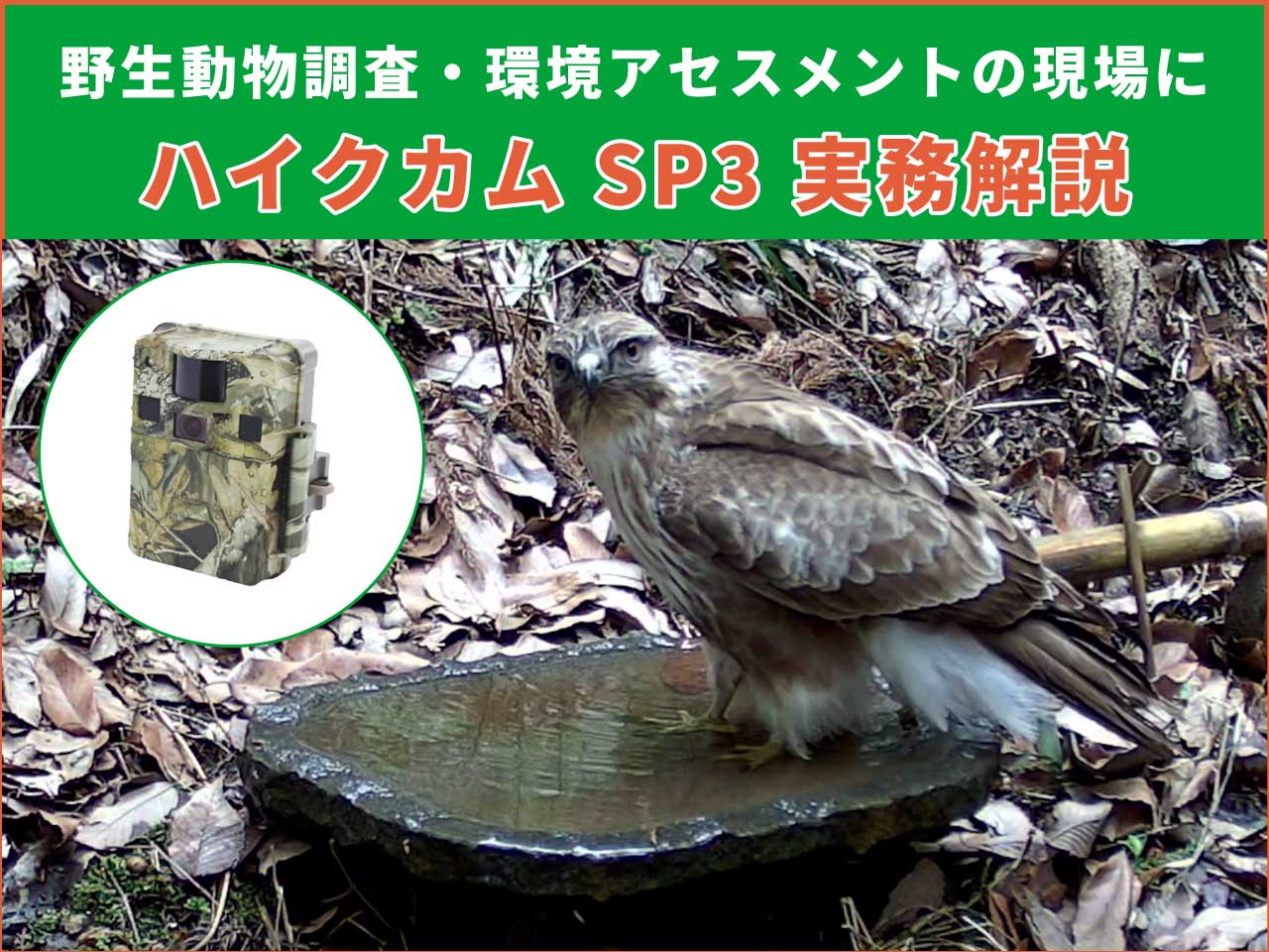 野生動物調査・環境アセスメント向けトレイルカメラ「ハイクカム SP3」の実務解説