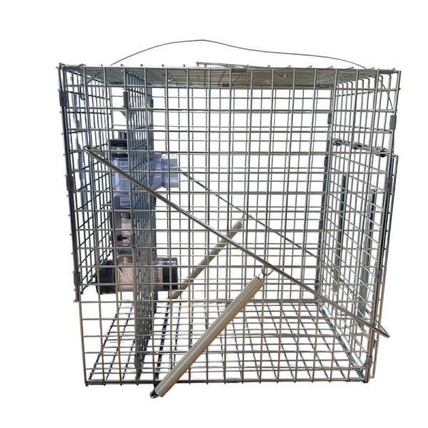 アライグマ専用の捕獲器（ラクーンキューブ）