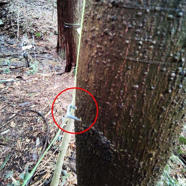 テグスをステープルに通すことで、扉が閉まる際に生じる力を、センサー部を下へ外す方向へ誘導