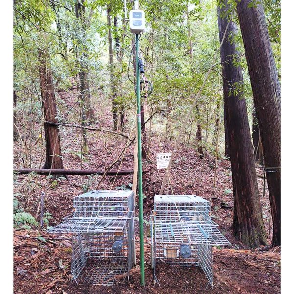 樹木へ固定する場合の動作イメージ①