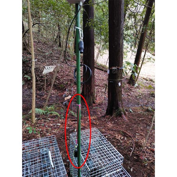 センサー部が外れた際、地面に落ちて汚れるのを防ぐことができる