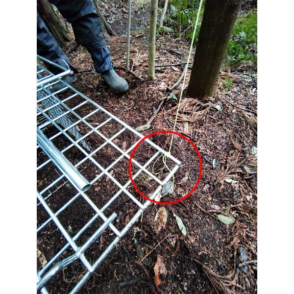 テグスは罠の扉の先端部に結び付ける