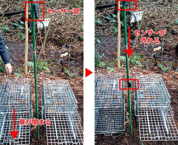 樹木へ固定する場合の動作イメージ②