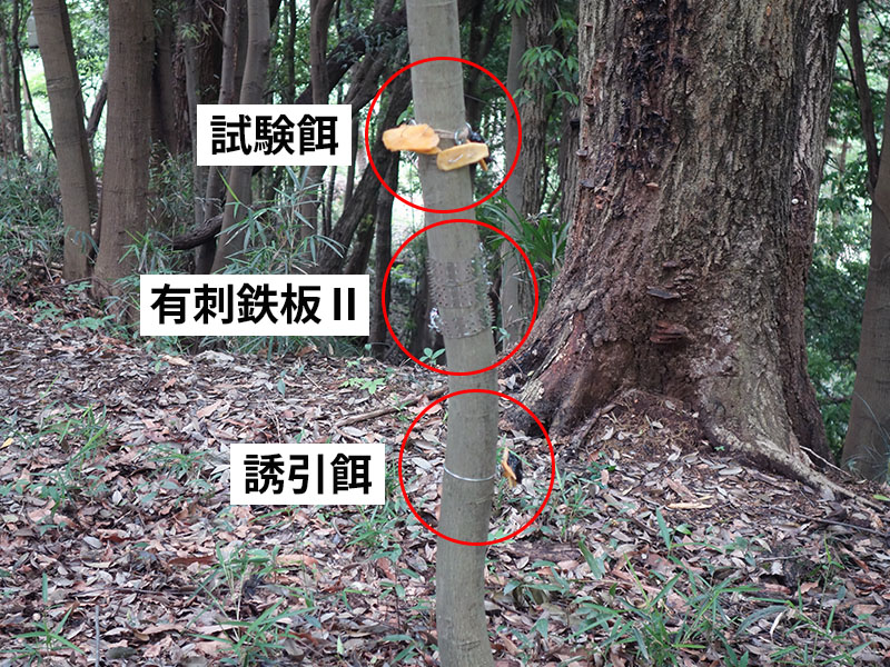 設置の全体像