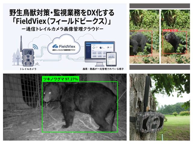 通信カメラ×AIでクマの出没を監視する！「FieldViex」の検知精度と現場運用の実際