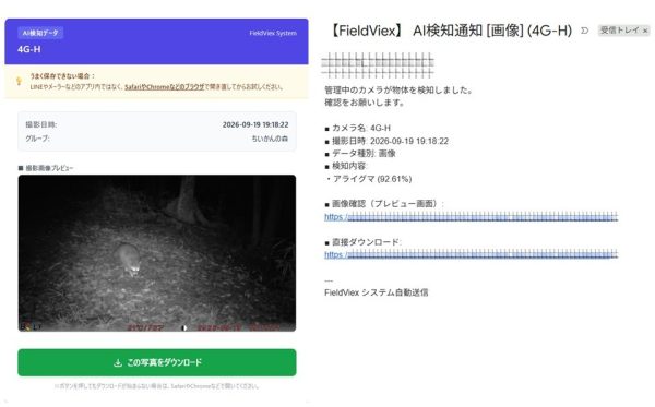 アライグマの出没をスマホにメール通知