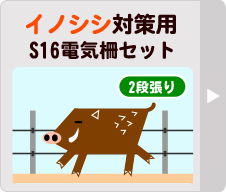 KK[~j\[[S16x CmVV΍pZbg