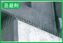 ޔQ΍_dC