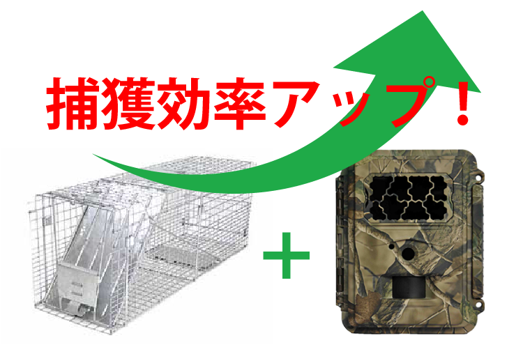 㩂ƃgCJŕߊlAbv