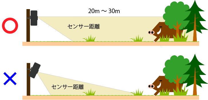 トレイルカメラのセンサー距離説明