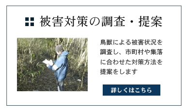 被害対策の調査・提案