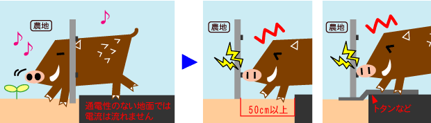 電気柵の設置に最適な場所