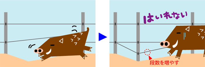 電気柵下からの潜り込みを防ぐ