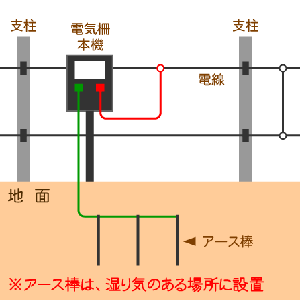 アースは一年中湿り気のある場所に間隔をあけて、深く打ち込む