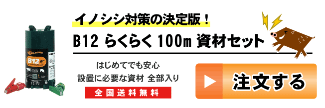 CmVV΍pdC B12 炭炭100mZbgi14^j