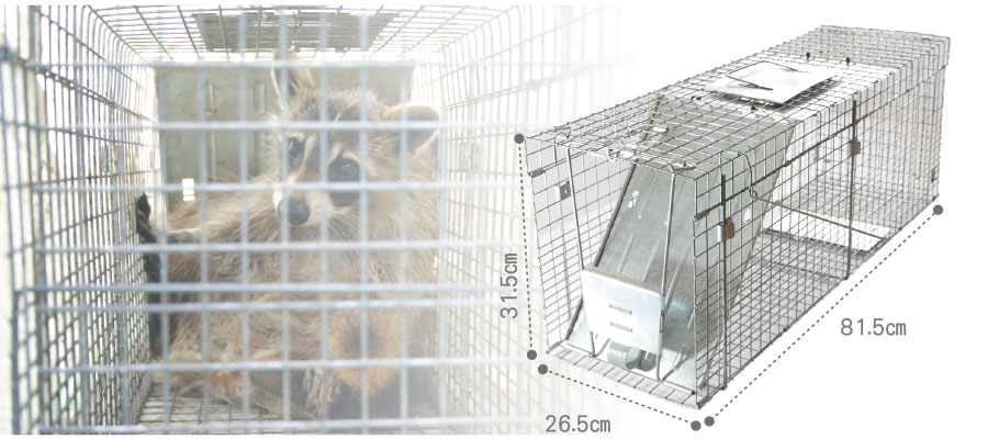 スペシャルオファ tol-213動物捕獲器 動物捕獲檻 アニマルトラップ L 79cm×32×28