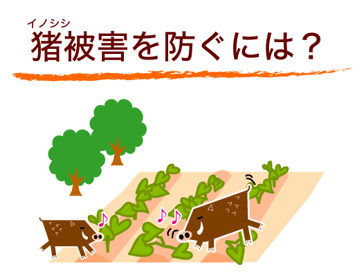 猪被害を防ぐには？