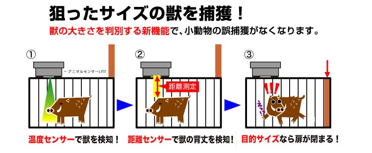 狙ったサイズの獣を捕獲する獣サイズ判別センサー式自動捕獲システム アニマルセンサーLITE（ライト） AMSL-100 獣から見えない赤外線の仕掛け