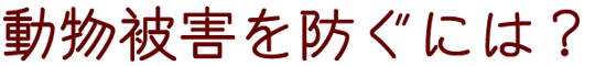 Qhɂ́H

