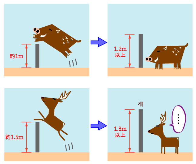 ネット柵高さ