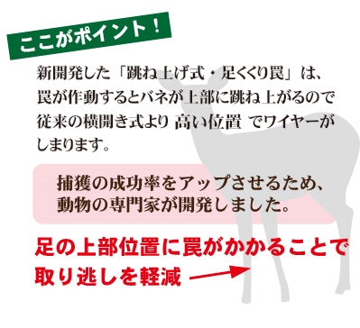 狩猟でくくりわなを使用し猪を確実に捕獲したいなら 足くくり