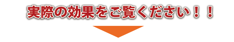 「楽落くん」デンエモン100m資材セット 実際の効果をご覧ください