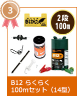 B12炭炭100mZbg