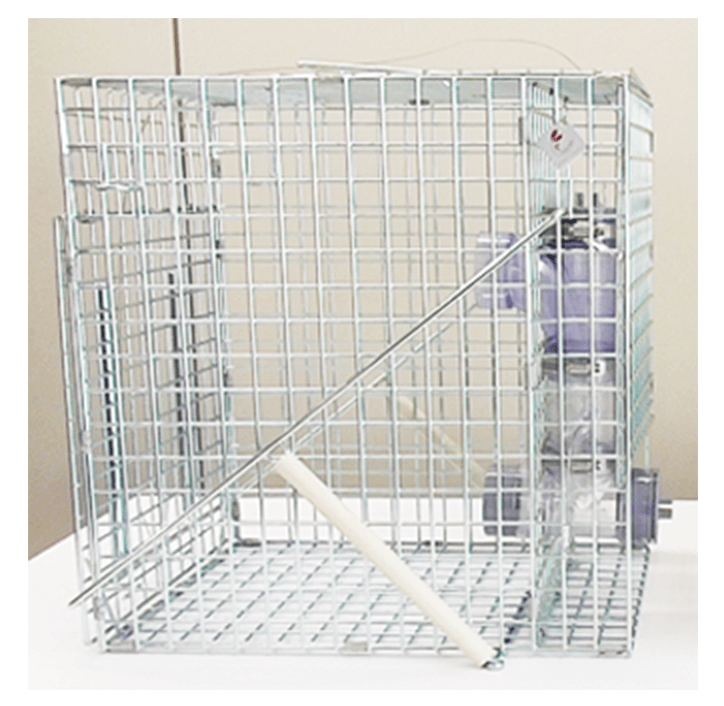 販売はこちら アライグマ専用捕獲器 Raccoon Cube ラクーンキューブ 錯誤捕獲を解消した