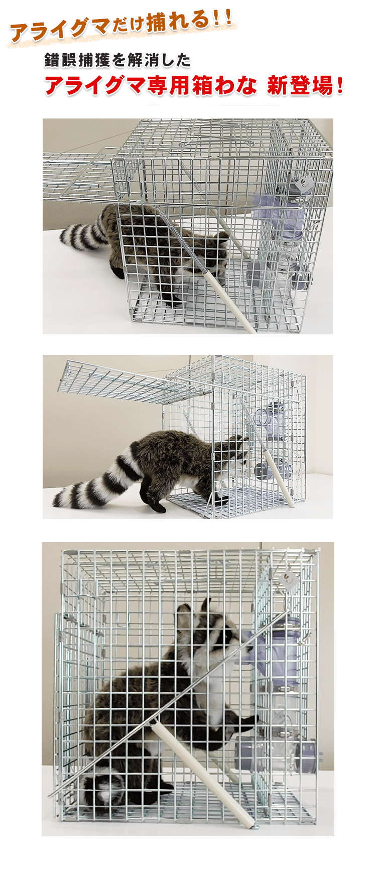 アライグマ専用箱わな 栄ヒルズ「Raccoon cube（ラクーンキューブ）」