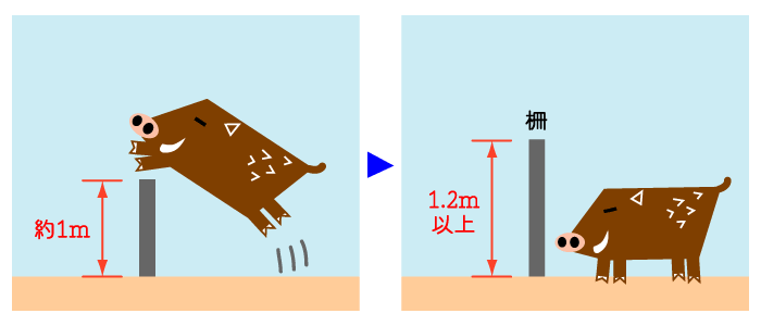 適切な高さの柵を設置する_猪