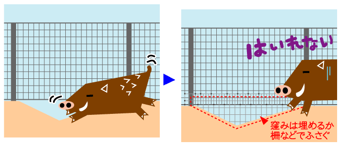 地際を確実にふさぐ